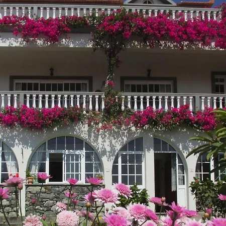 Building Funchal - Fnc011009-syd